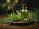 Benefici dell’olio CBD: cosa raccontano molti utenti