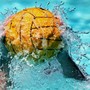 Si è chiusa amaramente la post season della serie A2 maschile di pallanuoto per Di Meglio Lavagna '90 e Chiavari Nuoto