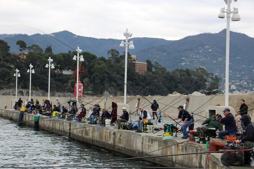 I pescatori impegnati nella gara direttamente sulla banchina del porto di Santa Margherita