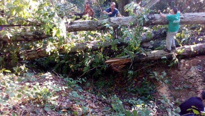 Portofino Bike e altri volontari al lavoro