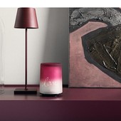 I diffusori di oli essenziali: un aromaterapia per il benessere domestico